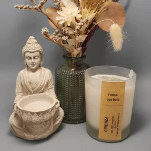 Bougie végétale parfumée Fraise des bois 140g