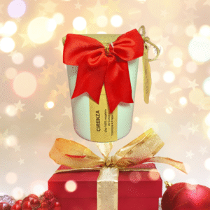 Bougie parfumée Vin chaud 160g