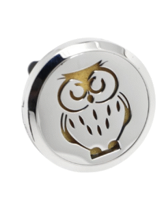 Diffuseur voiture Chouette